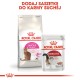Royal Canin Feline Savour Exigent 4kg cats dry food Adult AMABEZKAR0989 – Royal Canin Храна за котки