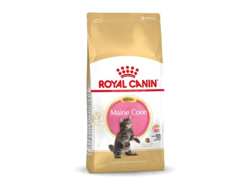 Royal Canin Maine Coon Kitten dry cat food 10 kg AMABEZKAR1133 – Royal Canin Храна за котки
