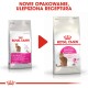 Royal Canin Savour Exigent 35/30 dry cat food Adult Maize,Poultry,Rice,Vegetable 2 kg AMABEZKAR0230 – Royal Canin Храна за котки