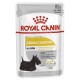 ROYAL CANIN Dermacomfort - Wet dog food - 12 x 85 g DLZROYKMP0024 – Royal Canin Храна за кучета