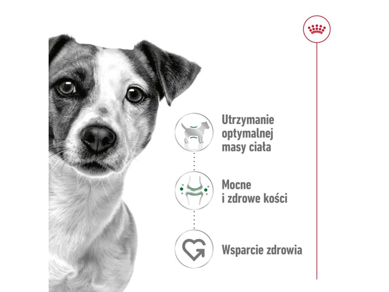 ROYAL CANIN Mini Adult - wet dog food - 12 x 85g ROYAL CANIN Mini Adult - wet dog food - 12 x 85g DLZROYKMP0033 – Royal Canin Храна за кучета