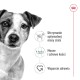 ROYAL CANIN Mini Adult - wet dog food - 12 x 85g ROYAL CANIN Mini Adult - wet dog food - 12 x 85g DLZROYKMP0033 – Royal Canin Храна за кучета