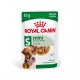 ROYAL CANIN Mini Adult - wet dog food - 12 x 85g ROYAL CANIN Mini Adult - wet dog food - 12 x 85g DLZROYKMP0033 – Royal Canin Храна за кучета