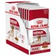 ROYAL CANIN SHN Medium Adult in sauce - wet food for adult dogs - 10x140g DLZROYKMP0031 – Royal Canin Храна за кучета