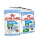 ROYAL CANIN SHN Mini Puppy in sauce - wet puppy food - 12X85g ROYAL CANIN SHN Mini Puppy in sauce - wet puppy food - 12X85g DLZROYKMP0034 – Royal Canin Храна за кучета
