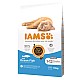 78 / 5 000 IAMS for Vitality Cat Kitten Ocean Fish - dry cat food - 10 kg DLPIAMKAS0007 – IAMS Храна за кучета