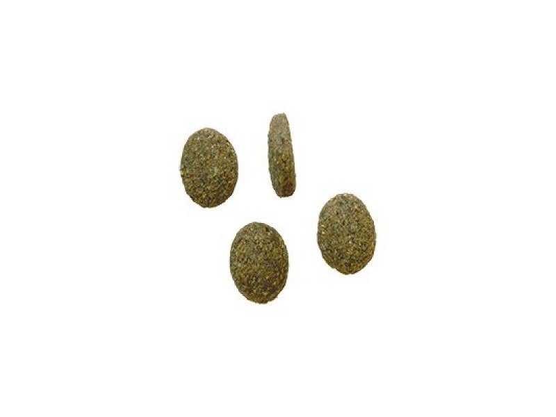 BOZITA Robur Sensitive Single Protein Lamb and Rice - dry dog food - 3kg DLSBZTZWI0029 – BOZITA Храна за кучета
