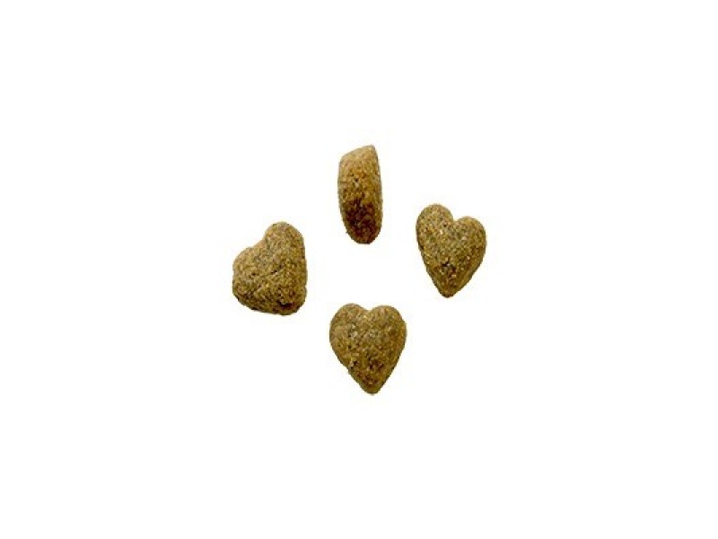 BOZITA Robur Sensitive Single Protein Salmon and Rice - dry dog food - 3kg DLZBZTKSP0020 – BOZITA Храна за кучета