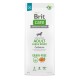 BRIT Care Adult Large Breed Salmon - dry dog food - 12 kg DLPRITKAS0014 – Brit Храна за кучета