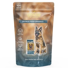 DIVINUS Performance - dry dog food - 100 g