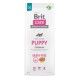 Dry food for puppies and young dogs of all breeds (4 weeks - 12 months).Brit Care Dog Grain-Free Puppy Salmon 12kg 100-172195 – Brit Храна за кучета