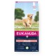 EUKANUBA Senior Large&Giant Lamb with rice - dry dog food - 12kg EUKANUBA Senior Large&Giant Lamb with rice - dry dog food - 12kg DLPEUKKAS0029 – EUKANUBA Храна за кучета