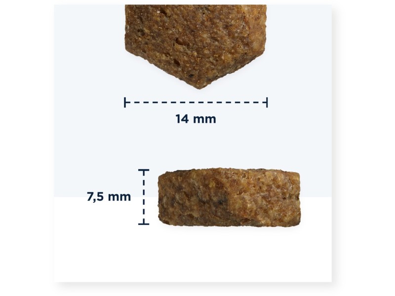 Eukanuba Dermatosis FP for Dogs 5 kg Adult Fish, Potato DLZEUKKSP0076 – EUKANUBA Храна за кучета