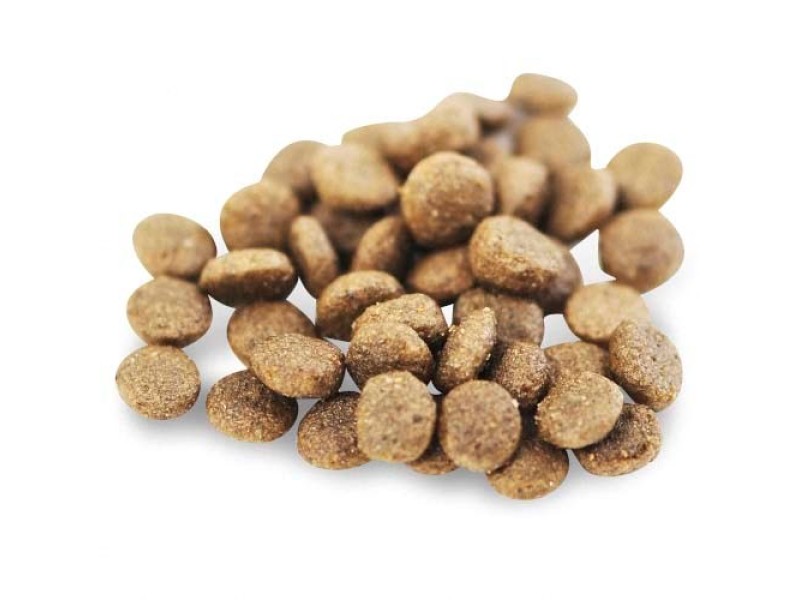 FISH4DOGS Superior Senior S Salmon - dry dog food - 1,5kg DLPF4DKAS0001 –  Храна за кучета