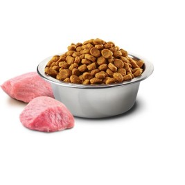 Farmina Pet Food 8010276033635 dogs dry food 2.5 g Adult Chicken
