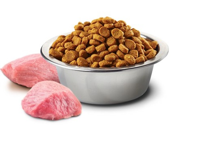 Farmina Pet Food 8010276033635 dogs dry food 2.5 g Adult Chicken PND070202S – Farmina Храна за кучета