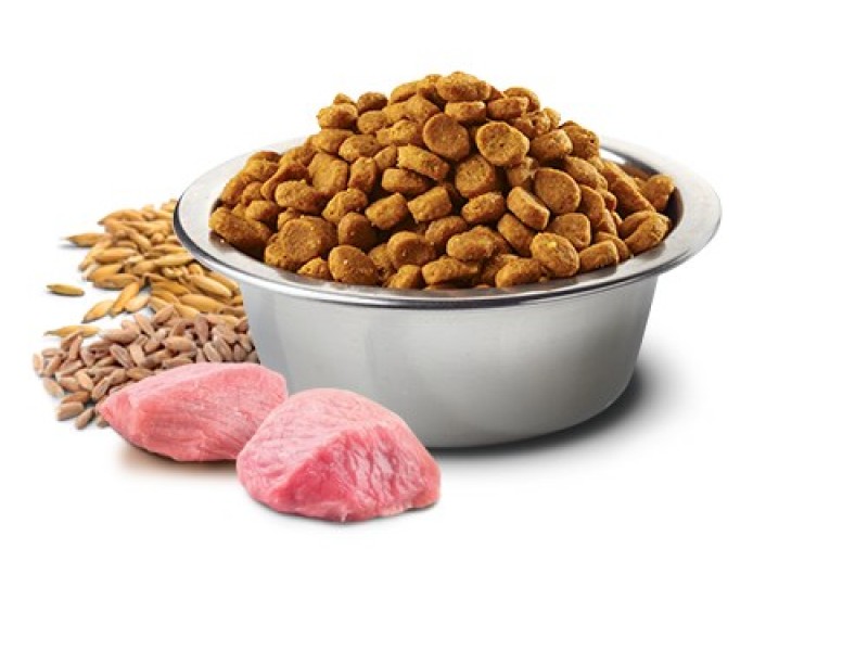 Farmina Pet Food N&D Ancestral Grain Canine 15 kg Adult Chicken PND1500001 – Farmina Храна за кучета