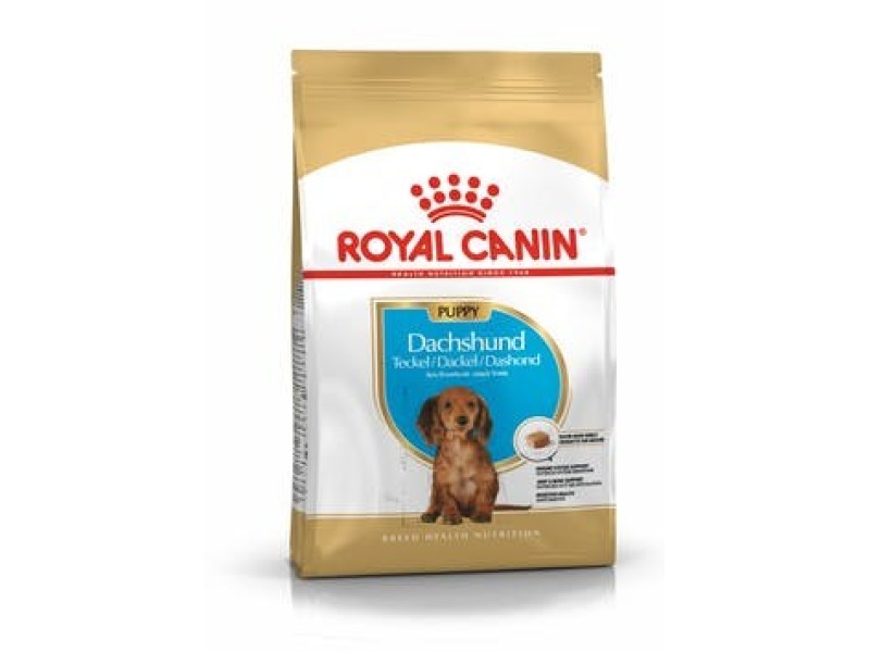 Food Royal Canin SHN Breed Dachshund Jun 1.5 kg DLZROYKSP0016 – Royal Canin Храна за кучета