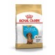 Food Royal Canin SHN Breed Dachshund Jun 1.5 kg DLZROYKSP0016 – Royal Canin Храна за кучета