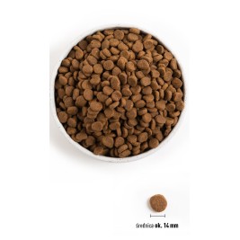 ORIJEN Senior - dry dog food - 11,4kg