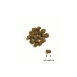 ORIJEN Small Breed Puppy - dry dog food - 1,8kg