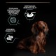 PURINA Pro Plan Sensitive Digestion Small & Mini Adult Lamb - dry dog food - 700g DLSPUIZWI0084 – PURINA NESTLE Храна за кучета