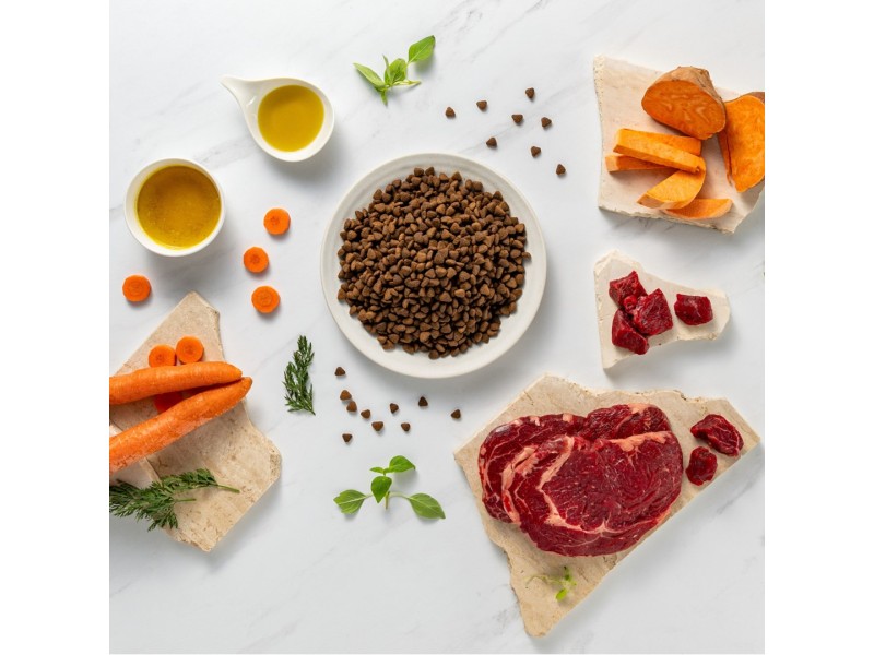 RAW PALEO Ultra Medium&Large Adult Beef - dry dog food - 10 kg RAW PALEO Ultra Medium&Large Adult Beef - dry dog food - 10 kg DLPVEEKAS0006 – VetExpert Храна за кучета