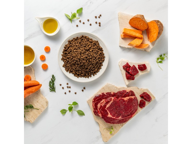 RAW PALEO Ultra Mini Puppy Beef - dry food for puppies of small breeds - 2 kg DLPVEEKAS0003 – VetExpert Храна за кучета
