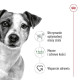 ROYAL CANIN Adult Mini S - dry dog food - 2kg ROYAL CANIN Adult Mini S - dry dog food - 2kg