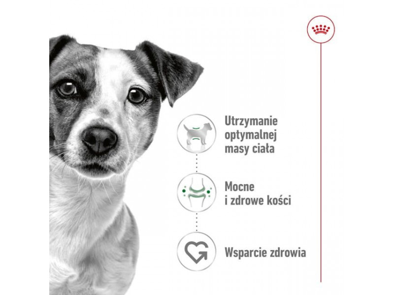 ROYAL CANIN Adult Mini S - dry dog food - 4kg ROYAL CANIN Adult Mini S - dry dog food - 4kg