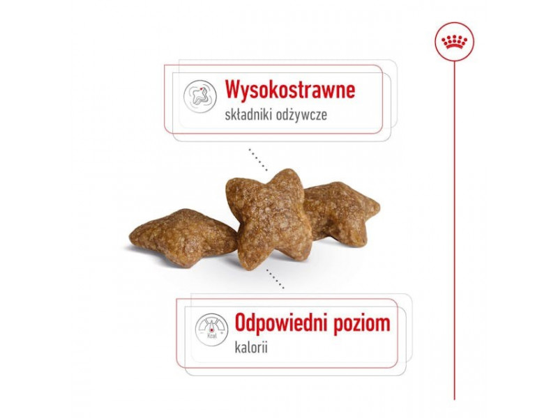 ROYAL CANIN Adult Mini S - dry dog food - 8kg ROYAL CANIN Adult Mini S - dry dog food - 8kg
