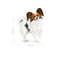 ROYAL CANIN Adult x- small SHN  - dry dog food - 3kg