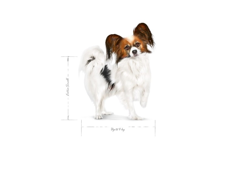 ROYAL CANIN Adult x- small SHN  - dry dog food - 3kg DLPROYKAS0013 – Royal Canin Храна за кучета