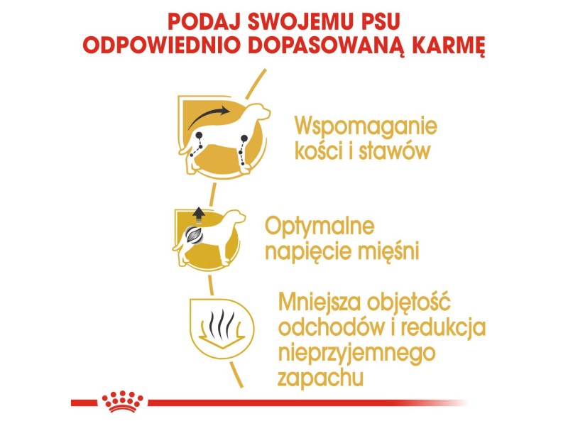 ROYAL CANIN Dachshund Adult - dry dog food - 7,5 kg AMABEZKAR1968 – Royal Canin Храна за кучета