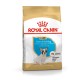 ROYAL CANIN French Bulldog Puppy - dry dog food - 3 kg AMABEZKAR0831 – Royal Canin Храна за кучета