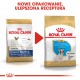 ROYAL CANIN French Bulldog Puppy - dry dog food - 3 kg AMABEZKAR0831 – Royal Canin Храна за кучета