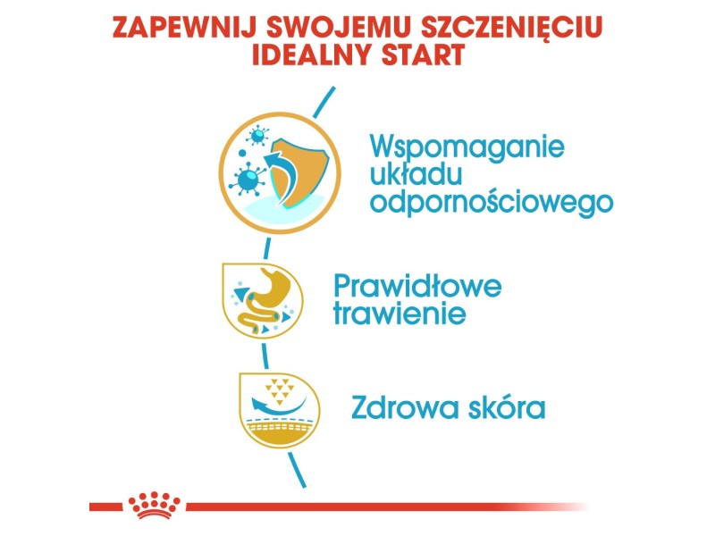 ROYAL CANIN French Bulldog Puppy - dry dog food - 3 kg AMABEZKAR0831 – Royal Canin Храна за кучета