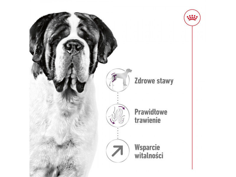 ROYAL CANIN Giant Adult - dry dog food - 15 kg ROYAL CANIN Giant Adult - dry dog food - 15 kg
