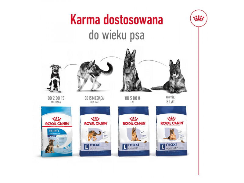 ROYAL CANIN Maxi Adult - dry dog food - 15 kg ROYAL CANIN Maxi Adult - dry dog food - 15 kg
