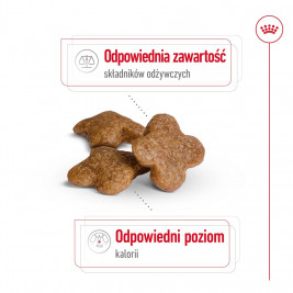 ROYAL CANIN Mini Adult +8 - dry dog food - 800 g
