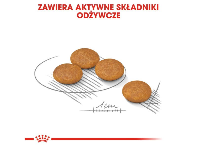 ROYAL CANIN Mini Dermacomfort -  dry food for adult small breeds of dogs with sensitive skin prone to irritation - 3kg DLZROYKSP0002 – Royal Canin Храна за кучета