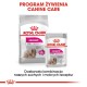 ROYAL CANIN Mini Exigent - dry food for fussy dogs - 1kg DLZROYKSP0008 – Royal Canin Храна за кучета