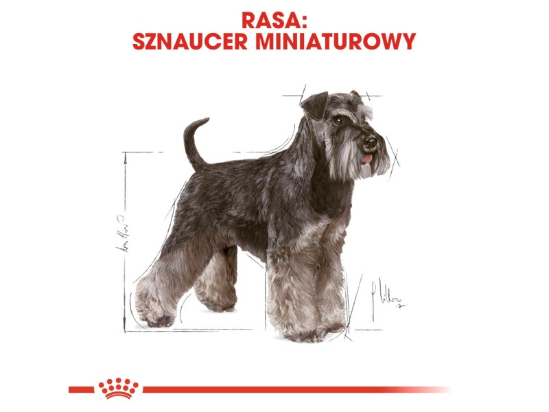 ROYAL CANIN Miniature Schnauzer Adult - dry dog food - 3 kg AMABEZKAR0562 – Royal Canin Храна за кучета