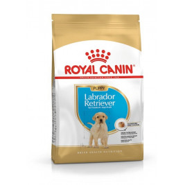 ROYAL CANIN SHN Breed Labrador Junior dry dog food - 12 kg