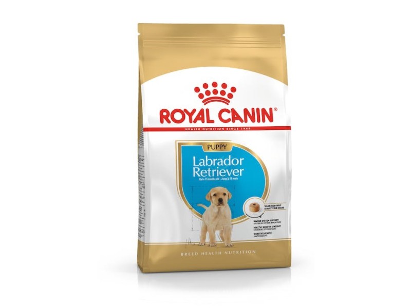 ROYAL CANIN SHN Breed Labrador Junior dry dog food - 12 kg ROYAL CANIN SHN Breed Labrador Junior dry dog food - 12 kg AMABEZKAR1417 – Royal Canin Храна за кучета