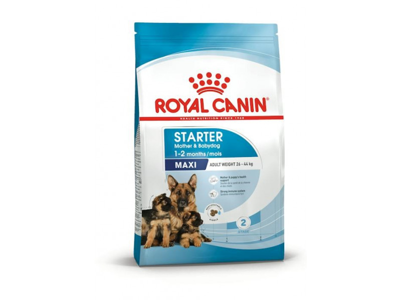 ROYAL CANIN SHN Maxi Starter Mother & Babydog - dry dog food - 4 kg ROYAL CANIN SHN Maxi Starter Mother & Babydog - dry dog food - 4 kg