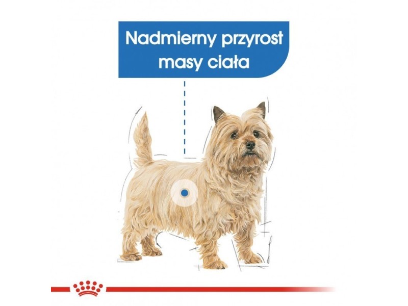 Royal Canin CCN MINI LIGHT WEIGHT CARE - dry food for adult dogs - 3kg DLZROYKSP0001 – Royal Canin Храна за кучета