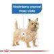 Royal Canin CCN MINI LIGHT WEIGHT CARE - dry food for adult dogs - 3kg DLZROYKSP0001 – Royal Canin Храна за кучета