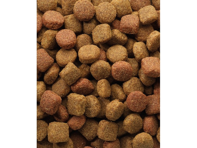 VERSELE-LAGA Classic Duo Krok - dry dog food - 20 kg 5410340380130 – VERSELE-LAGA Храна за кучета