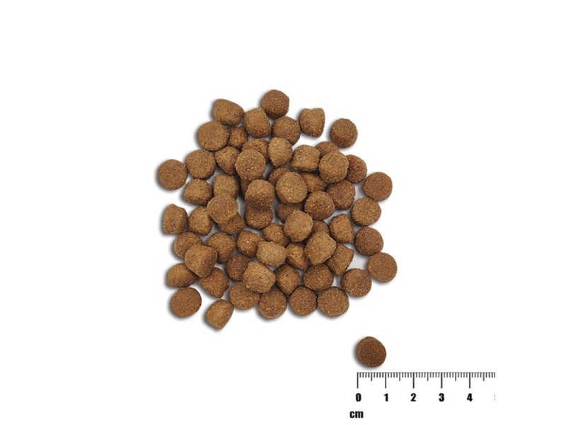 VET EXPERT Raw Paleo Healthy Grain Puppy Salmon and barley - dry dog ​​food - 10 kg DLPVEEKAS0023 – VetExpert Храна за кучета